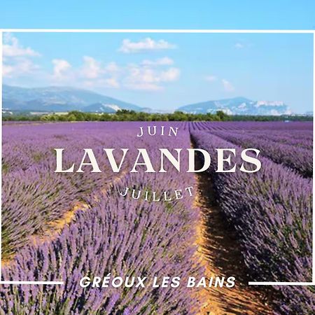 Verdon Secret - L'Escapade Parfaite Greoux-les-Bains Ngoại thất bức ảnh