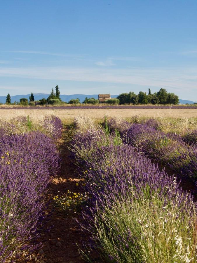 Verdon Secret - L'Escapade Parfaite Greoux-les-Bains Ngoại thất bức ảnh