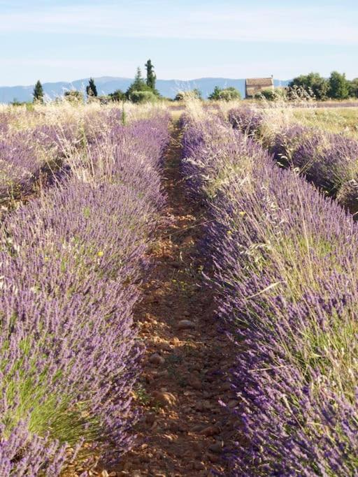 Verdon Secret - L'Escapade Parfaite Greoux-les-Bains Ngoại thất bức ảnh